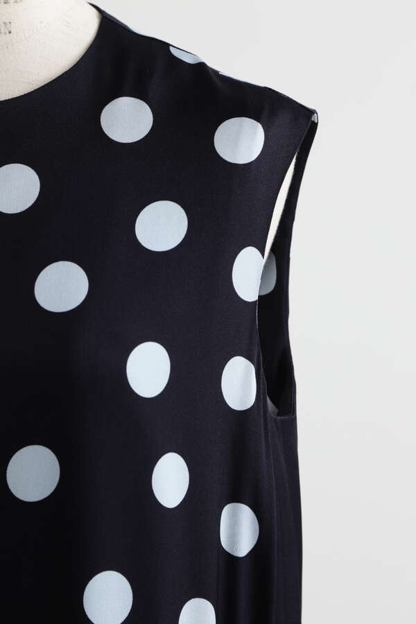 Printed Silk Dot Dress