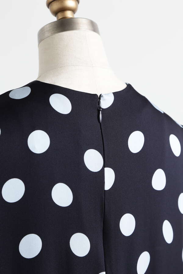 Printed Silk Dot Dress