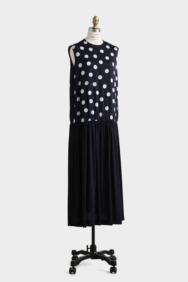 Printed Silk Dot Dress