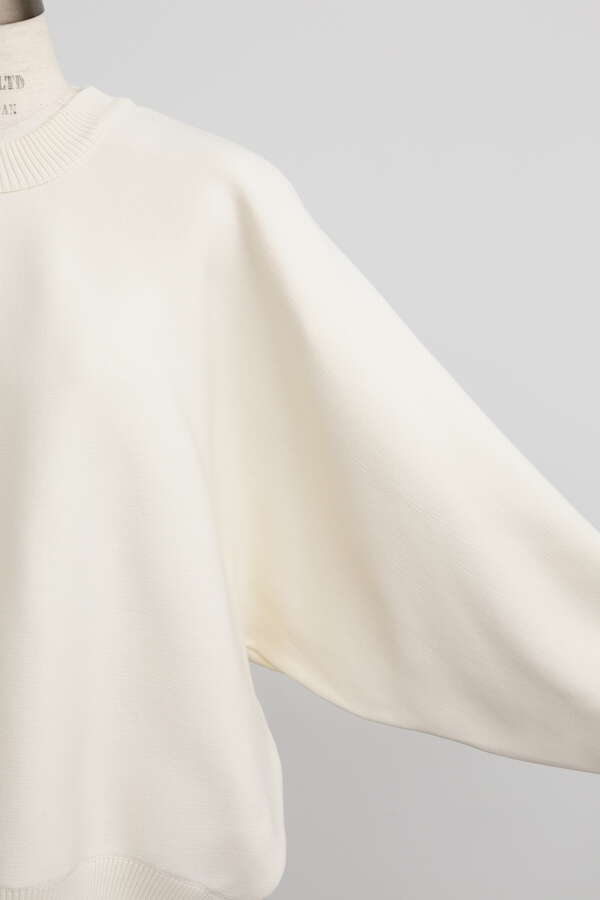 【先行予約 10月中旬-下旬入荷予定】Tuck Sleeve Knit