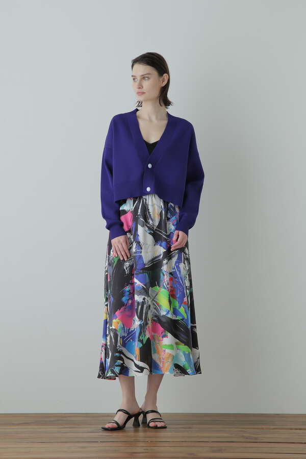 先行予約 12月中旬-下旬入荷予定】Printed Flare Skirt | ボトムス