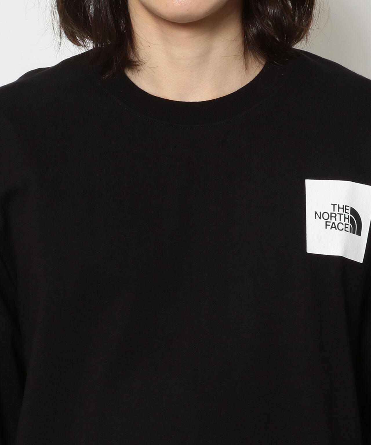 THE NORTH FACE/ザ ノースフェイス/L/S Sleeve Graphic Tee/グラフィックカットソー