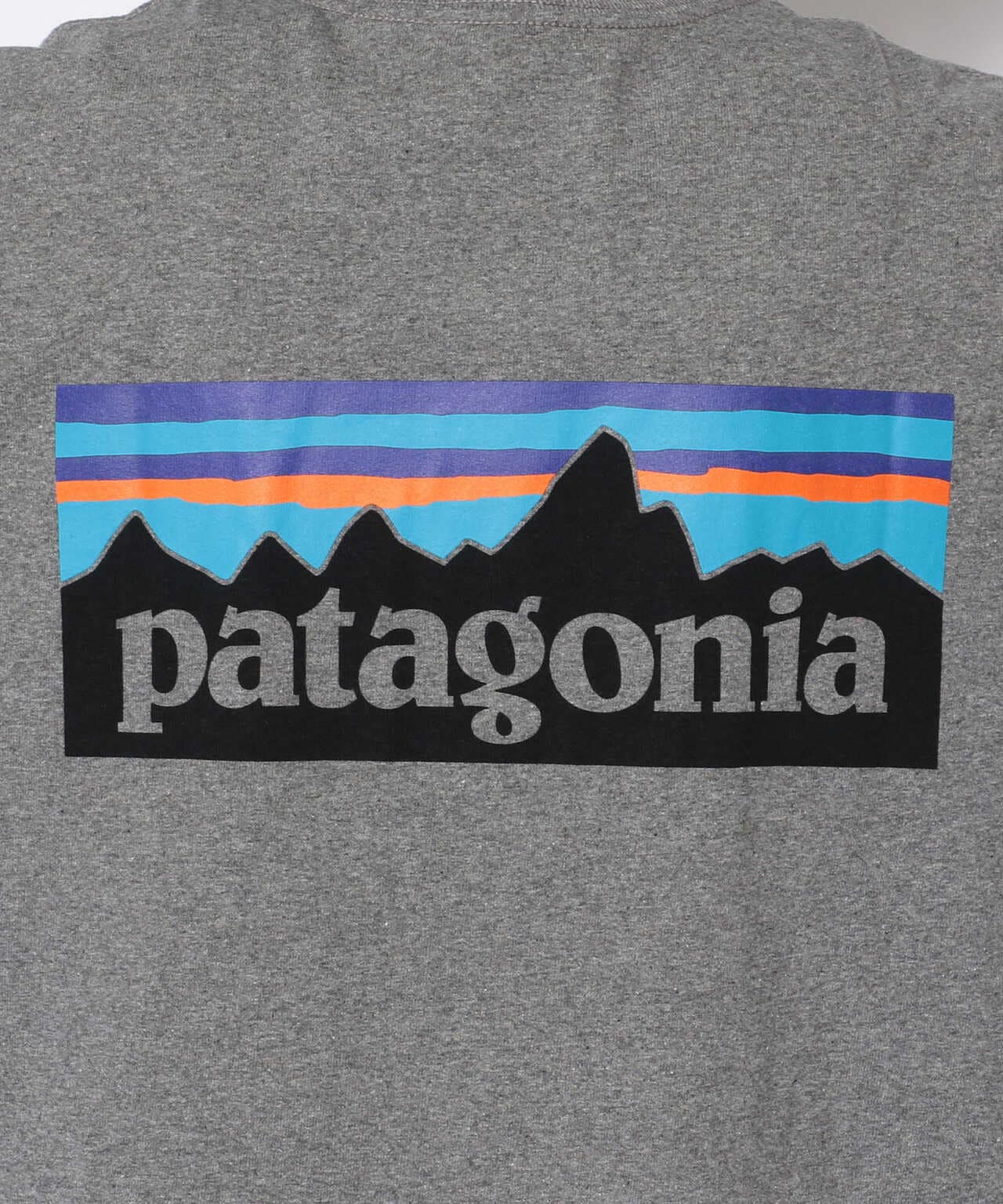 PATAGONIA/パタゴニア ロングスリーブ・P-6ロゴ・レスポンシビリティー(38518) 長袖Tシャツ