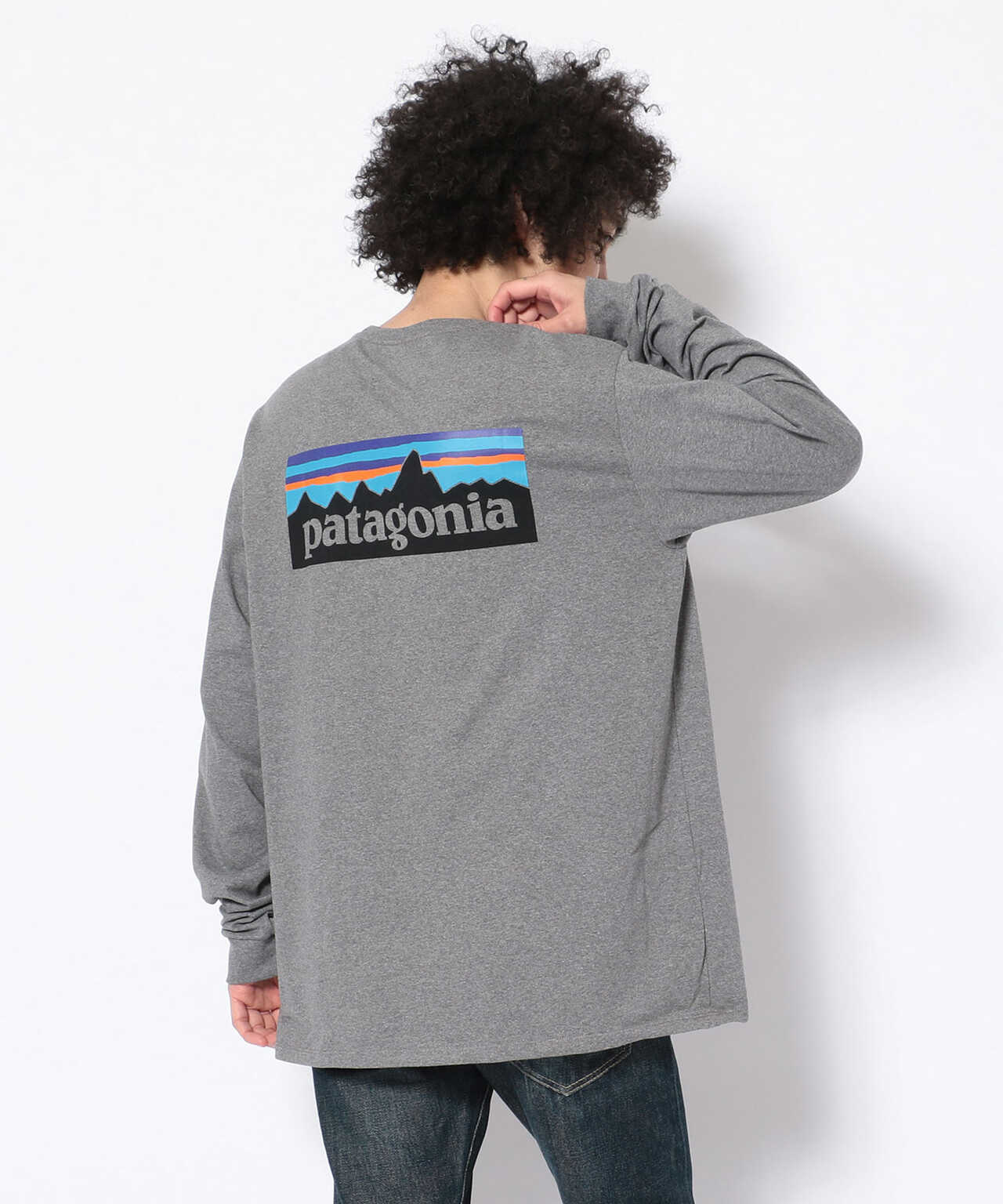 PATAGONIA/パタゴニア ロングスリーブ・P-6ロゴ・レスポンシビリティー(38518) 長袖Tシャツ | BEAVER ( ビーバー ) |  US ONLINE STORE（US オンラインストア）