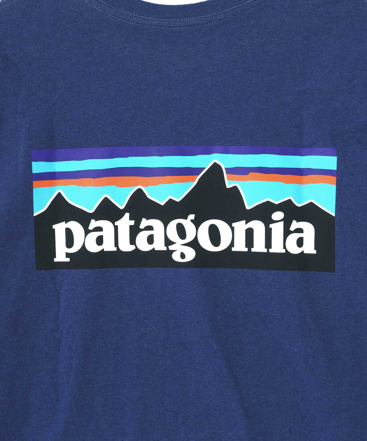 Patagonia/パタゴニア　メンズ・ロングスリーブ・P-6ロゴ・レスポンシビリティー　38518