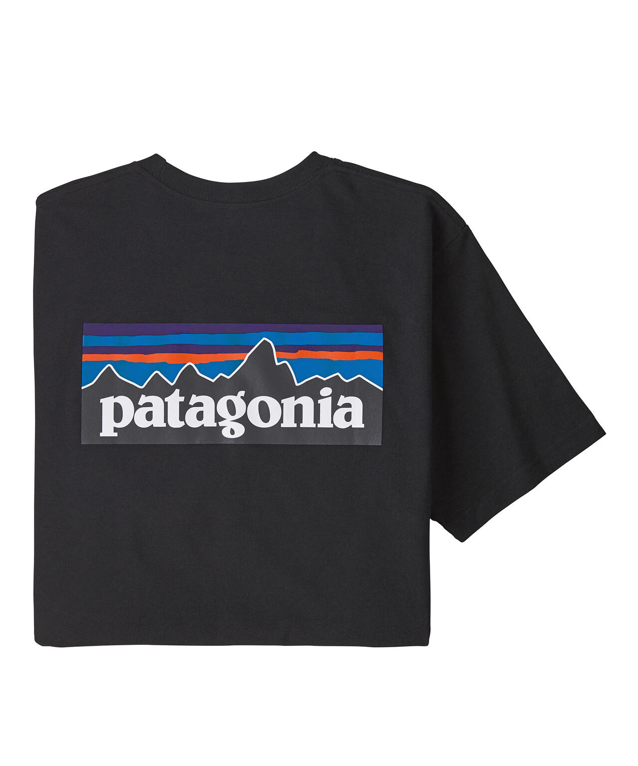 パタゴニア Tシャツ レスポンシビリティー ブルー XS  ロゴ P6