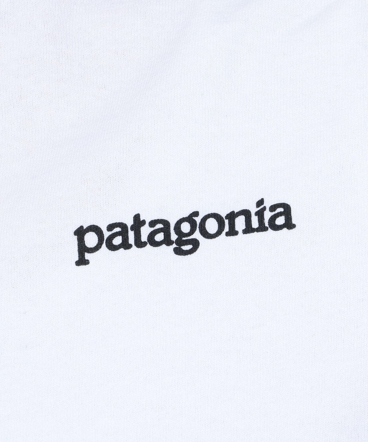 PATAGONIA/パタゴニア　Ms Fitz Roy Horizons Responsibili-Tee