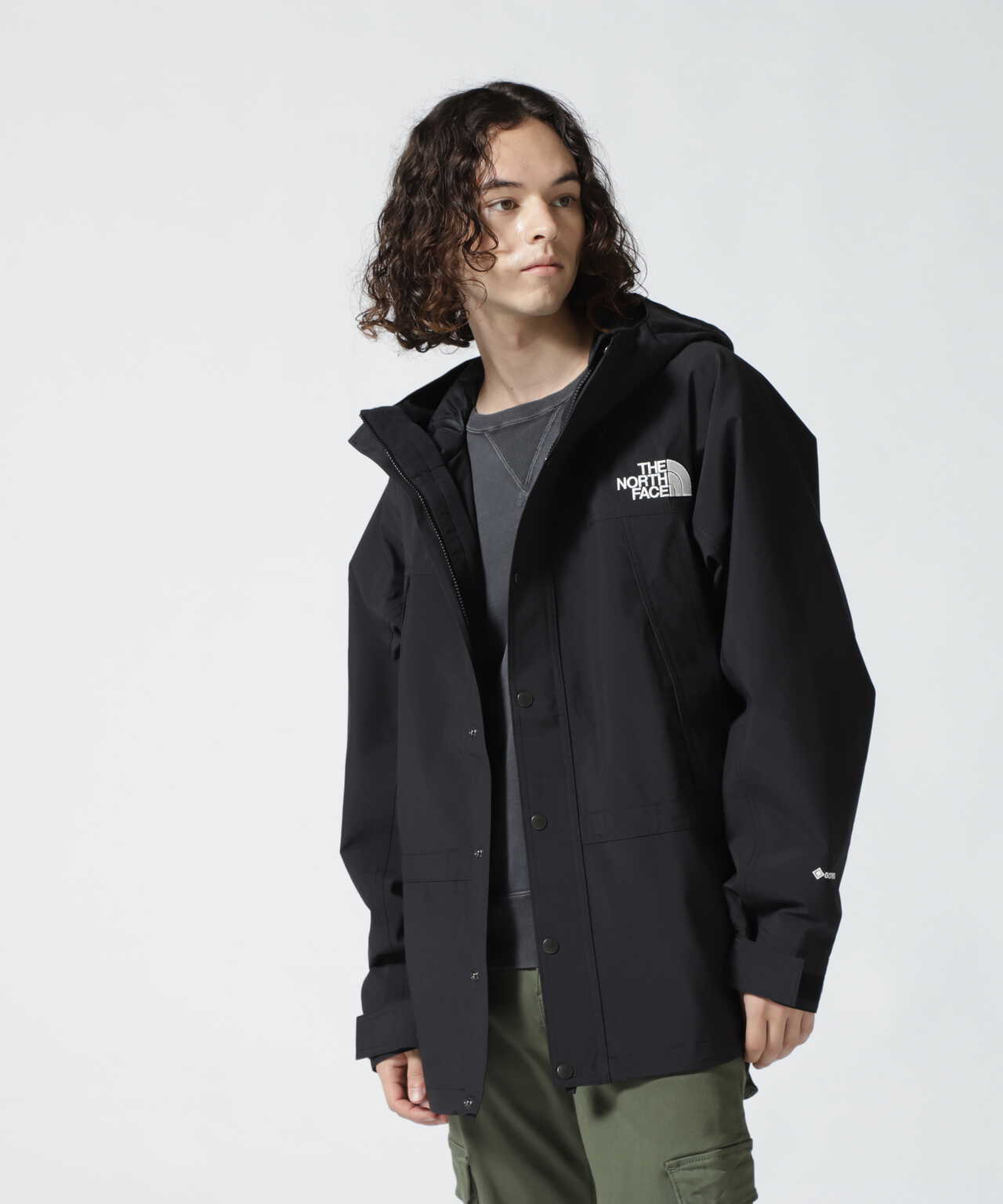 THE NORTH FACE/ザ・ノースフェイス Mountain Light Jacket マウンテン ...