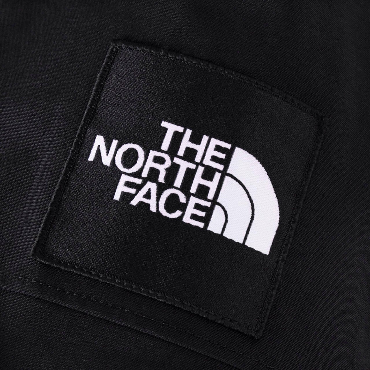 THE NORTH FACE/ザ・ノースフェイス Antarctica Parka アトランティカ 