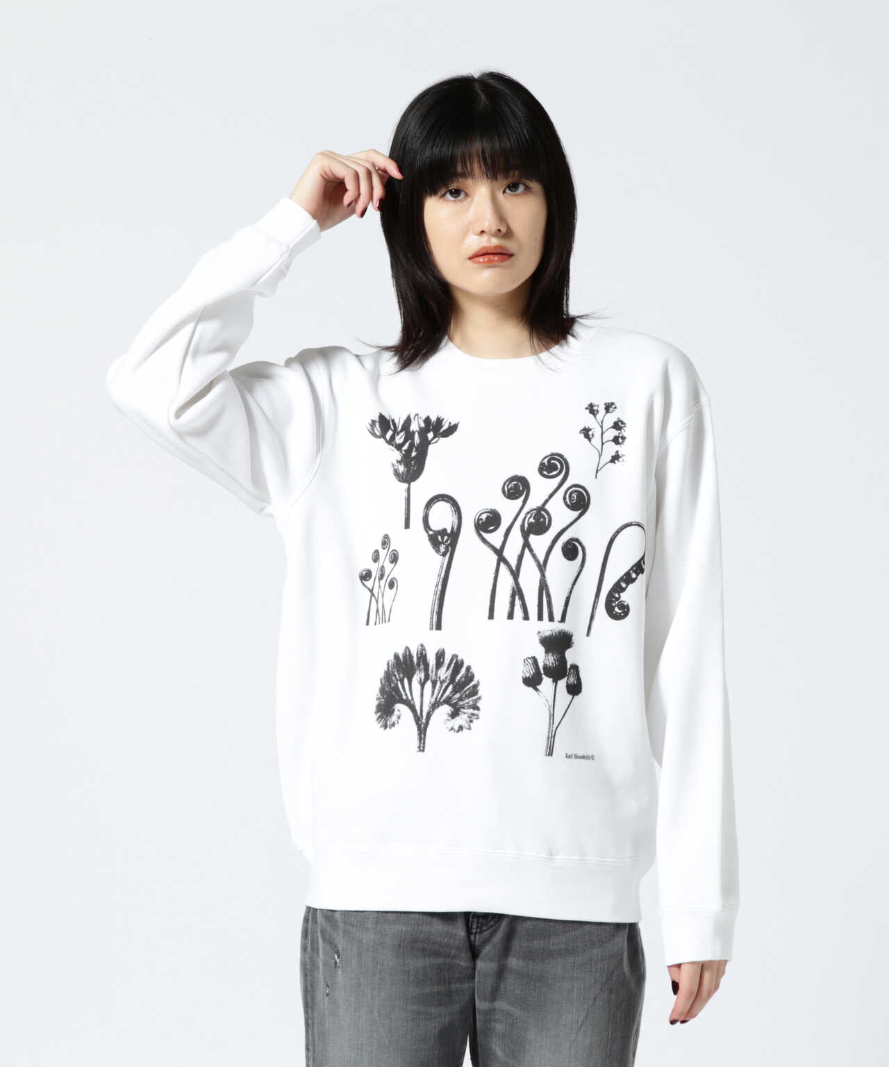 Hub PRODUCTS/ハブプロダクツ KARL BLOSSFELDT SWEAT SHIRT カール