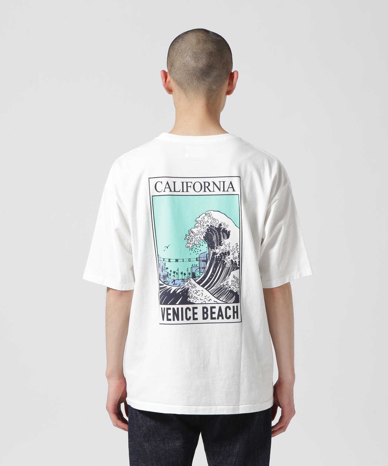 CAL O LINE /キャルオーライン CALIFORNIA WAVE Tシャツ | BEAVER ...