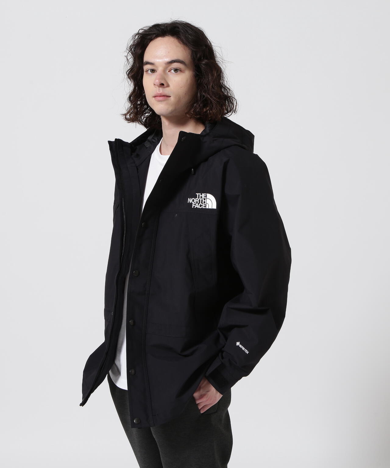 THE NORTH FACE/ザ・ノースフェイス Mountain Light Jacket