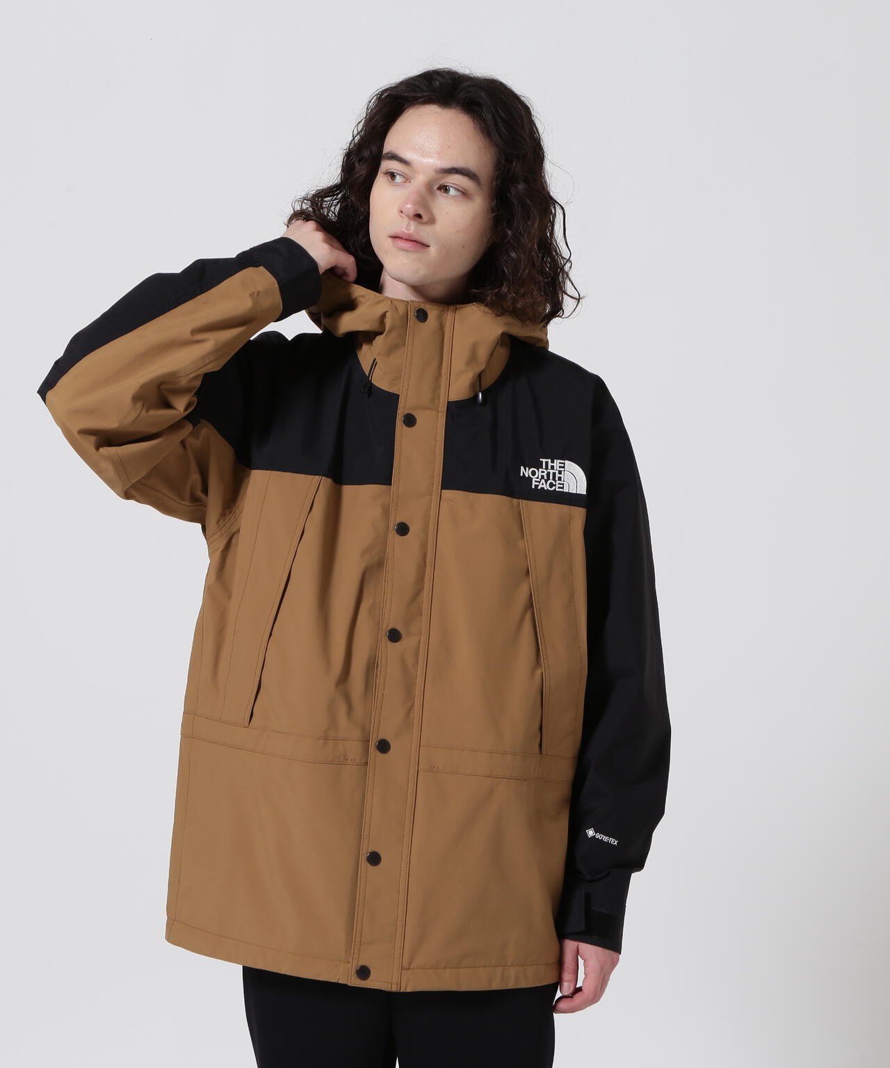 THE NORTH FACE/ザ・ノースフェイス Mountain Light Jacket