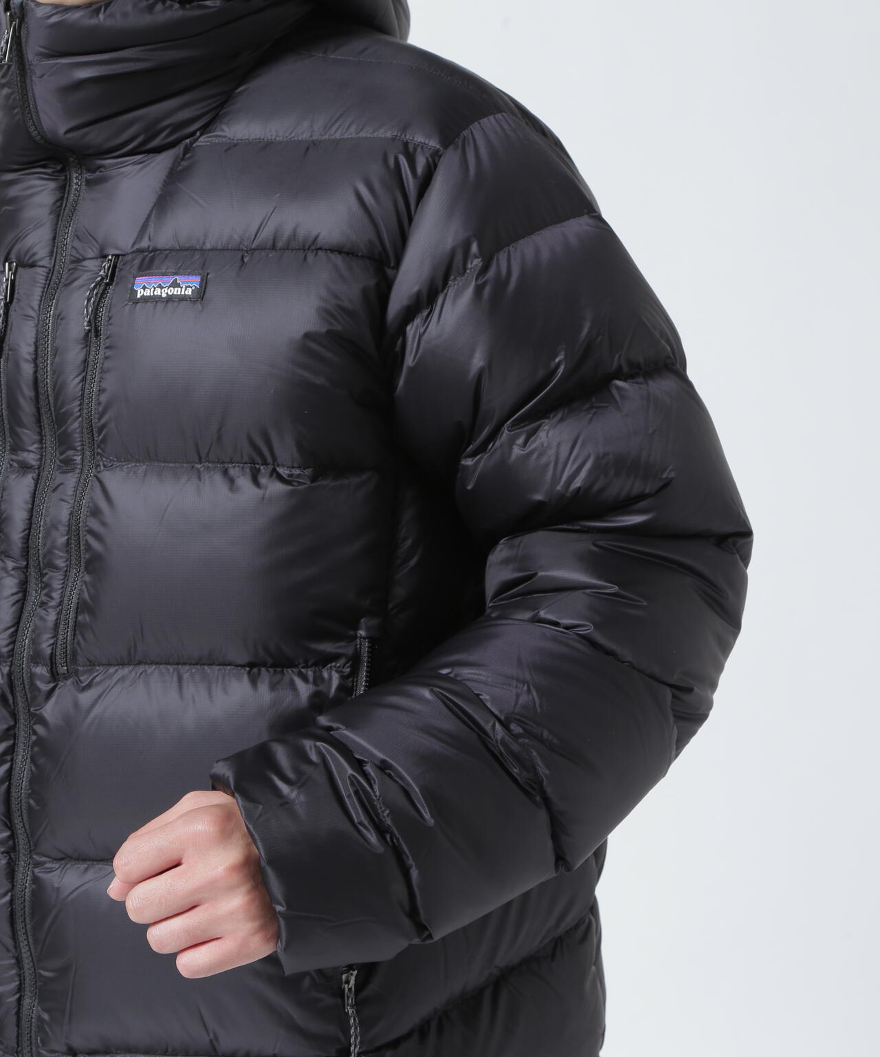 Patagonia/パタゴニア メンズ・フィッツロイ・ダウン・フーディ 85500