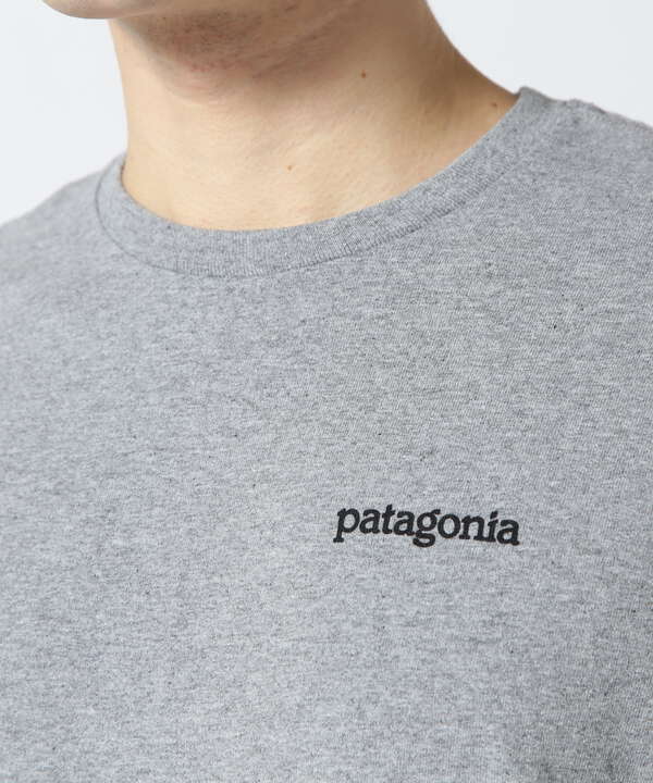 Patagonia/パタゴニア　Ms Long-Sleeved Fitz Roy Horizons Responsibili-Tee