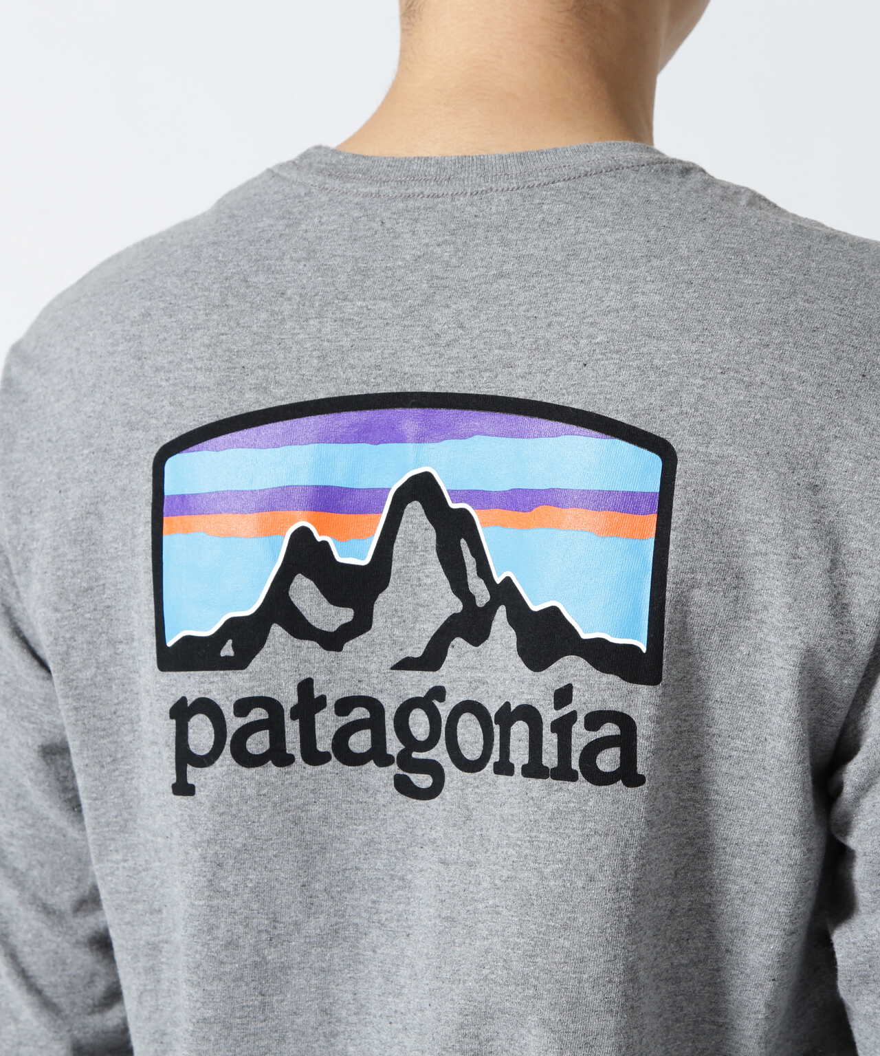 Patagonia/パタゴニア Ms Long-Sleeved Fitz Roy Horizons ...