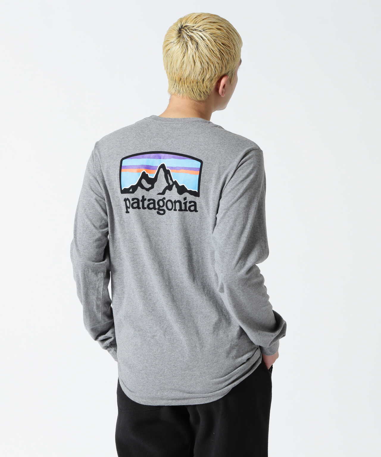 Patagonia/パタゴニア Ms Long-Sleeved Fitz Roy Horizons