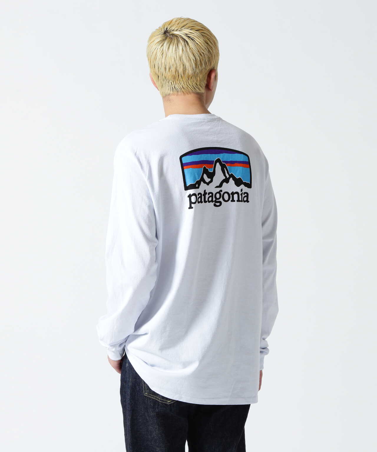 Patagonia/パタゴニア Ms Long-Sleeved Fitz Roy Horizons