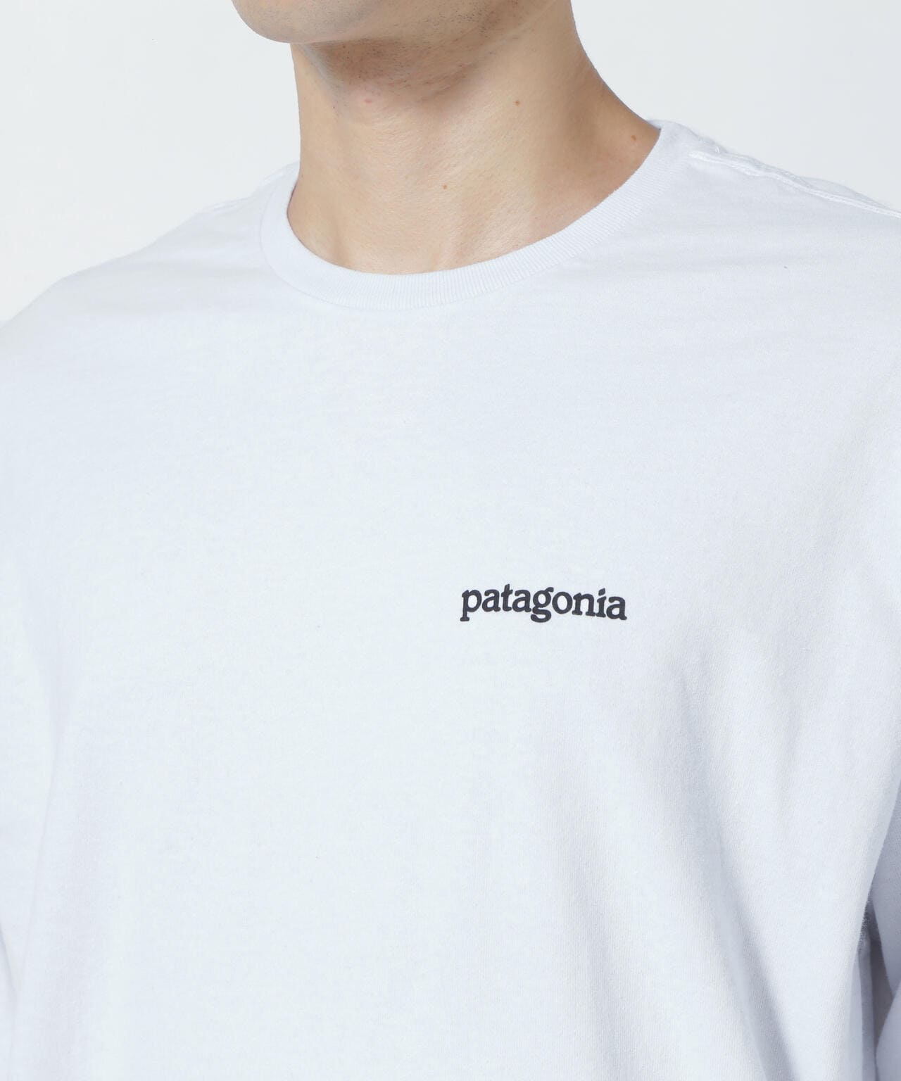 Patagonia/パタゴニア メンズ・ロングスリーブフィッツロイ