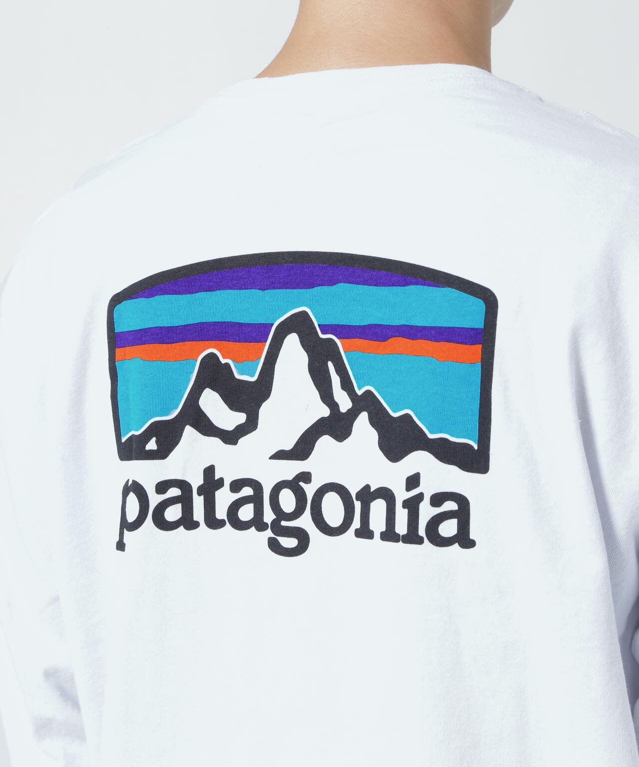 Patagonia/パタゴニア メンズ・ロングスリーブフィッツロイホライゾンズレスポンシビリティー | BEAVER ( ビーバー ) | US  ONLINE STORE（US オンラインストア）