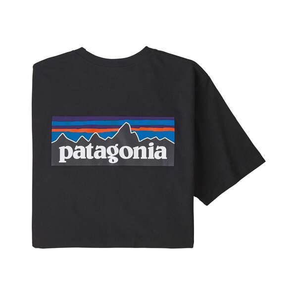 Patagonia/パタゴニア　メンズ・P-6ロゴ・レスポンシビリティー 38504