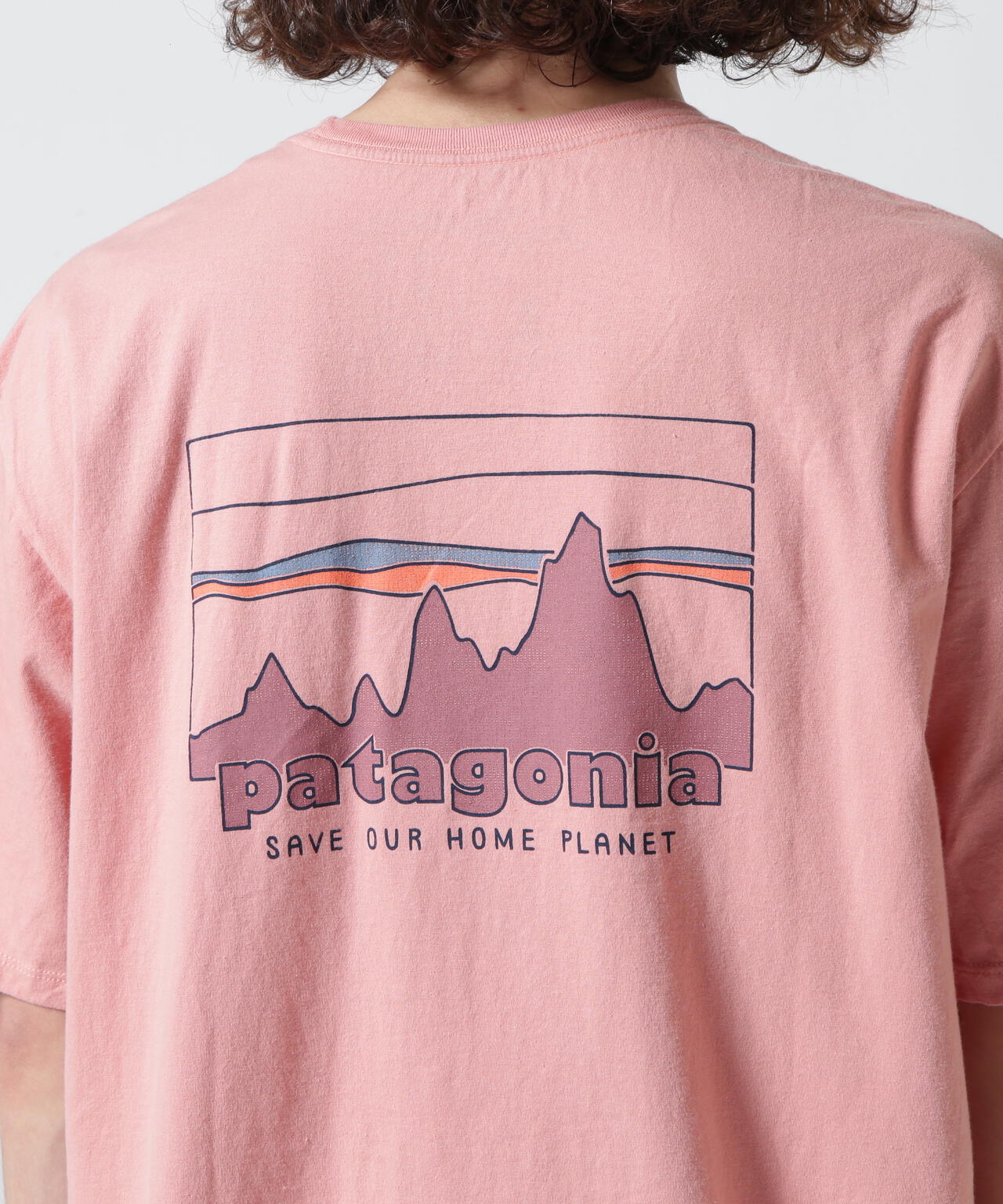 patagonia organic cotton T-shirt 初期モデルバケーション