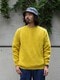 INVERALLAN/インバーアラン　別注SHAGGY CREW SHETLAND SWEATER