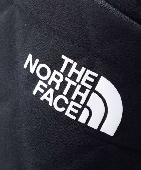 THE NORTH FACE/ザ・ノースフェイス　 Geoface Slim Pack