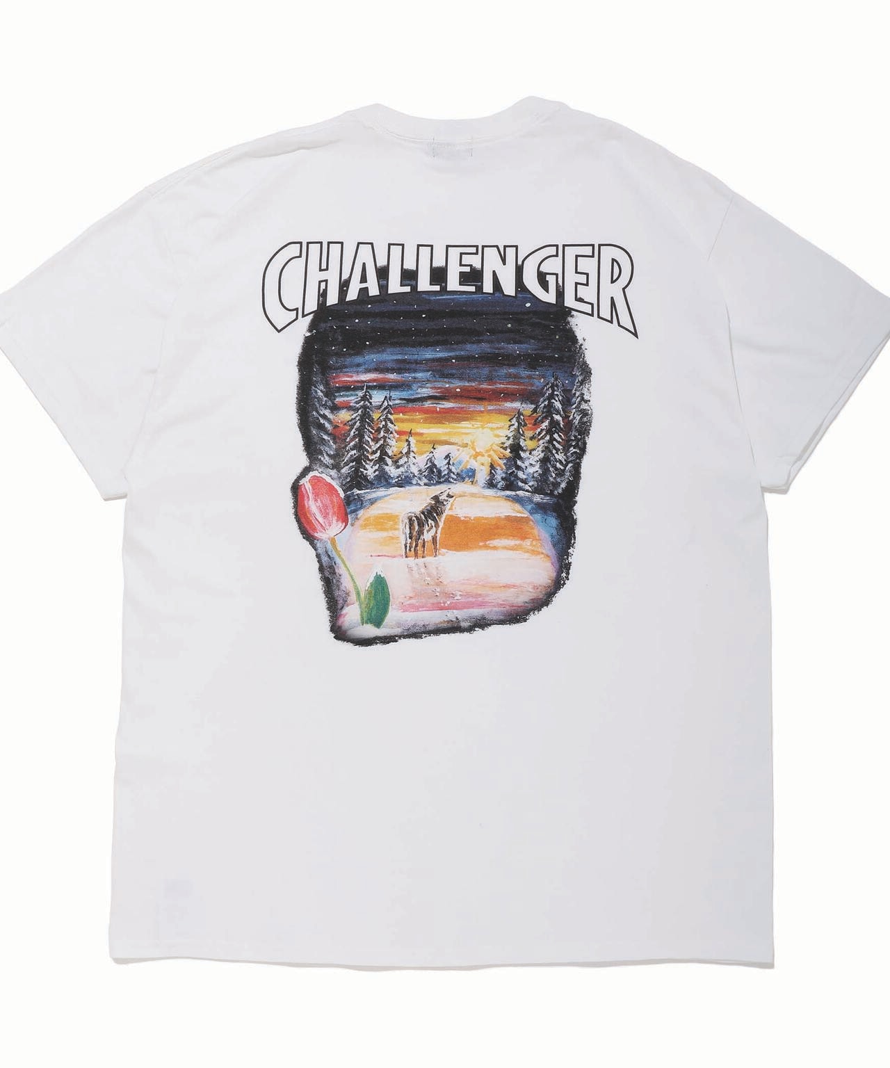CHALLENGER/チャレンジャー/Tシャツ/Shall we skate?