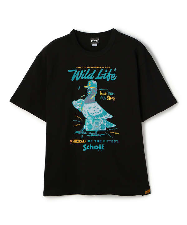PIGEON BASEBALL T-SHIRT/ピジョン ベースボール Tシャツ