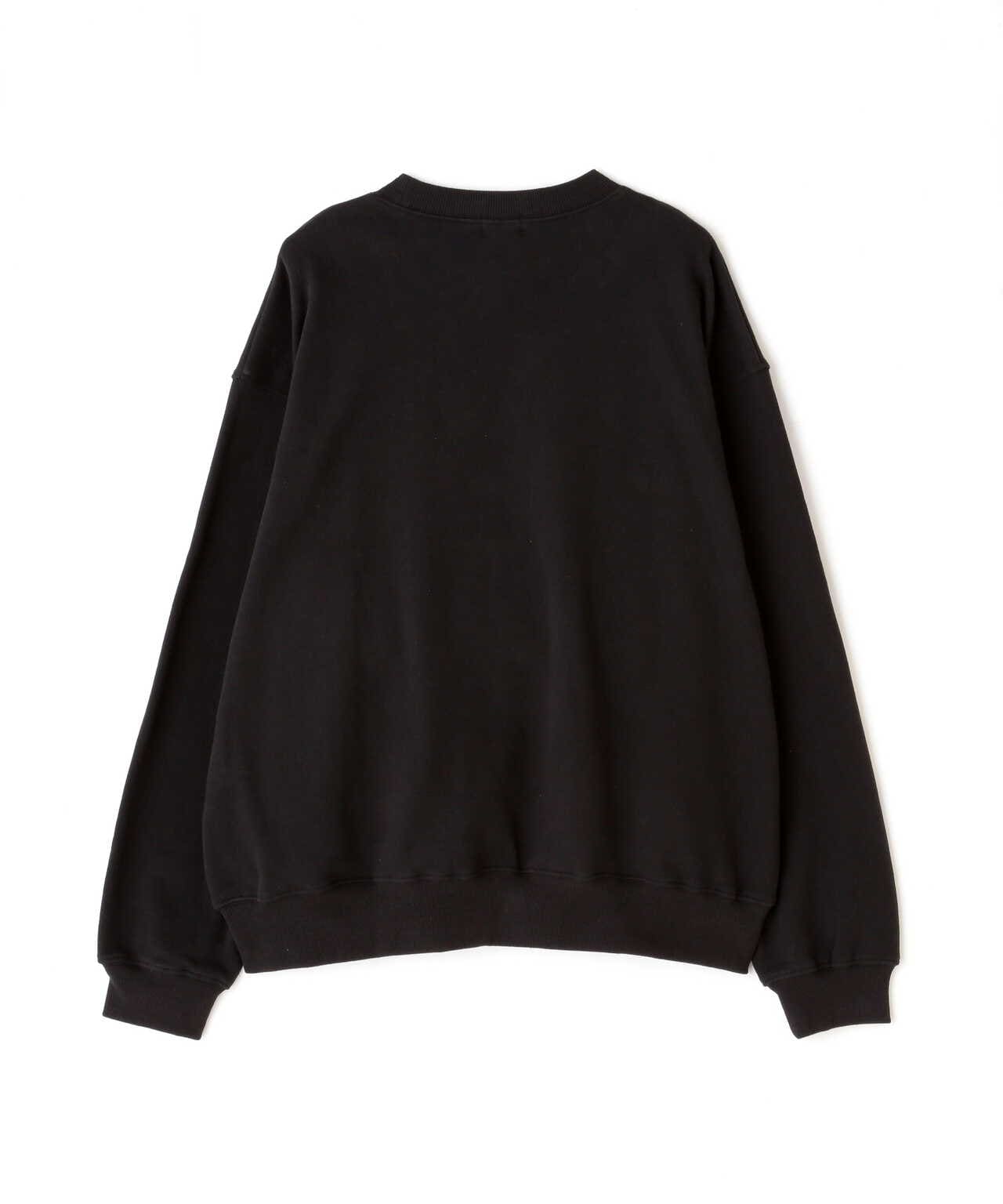 WEB LIMITED】CREW SWEAT PHOTO/クルースウェット フォト | Schott