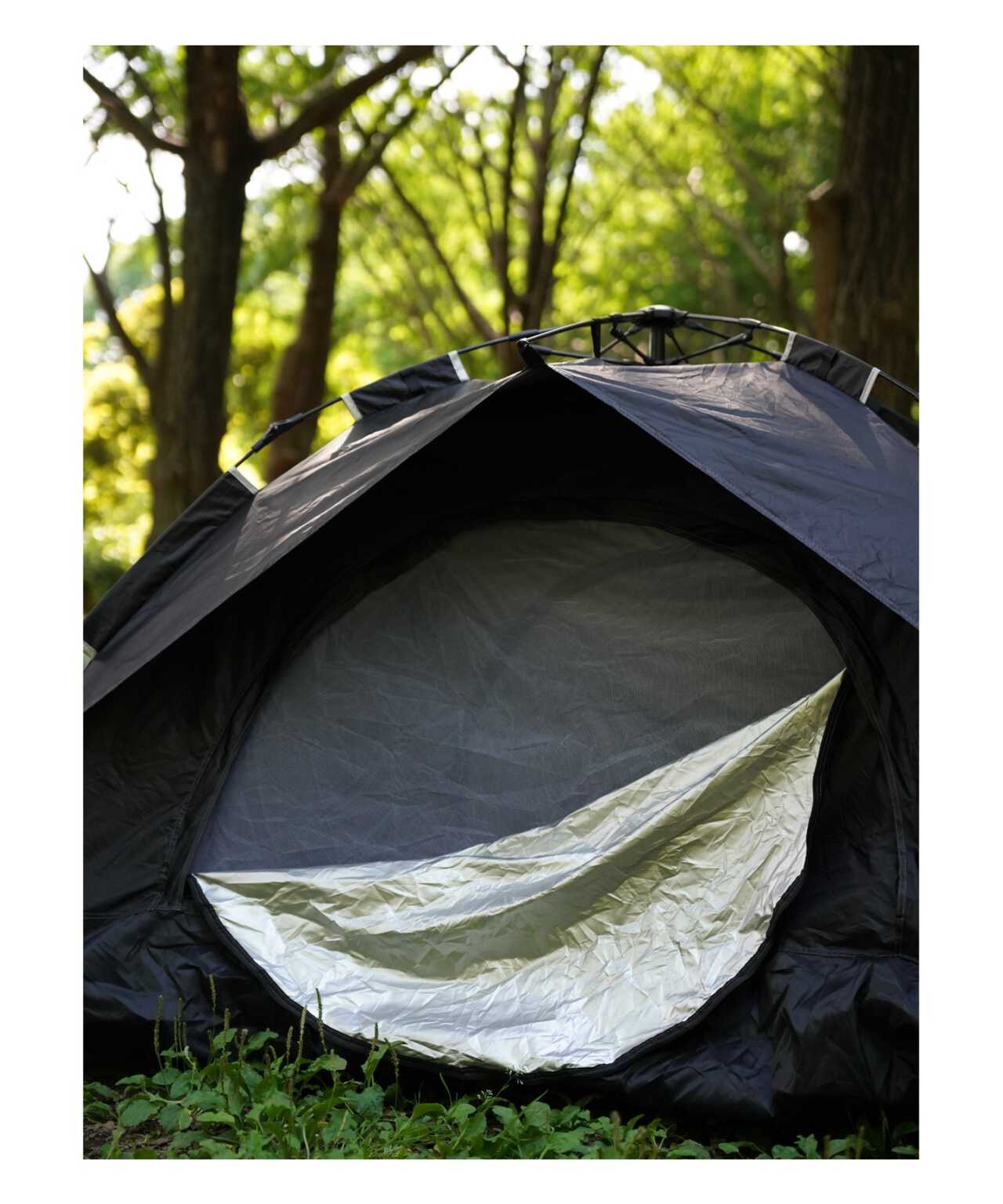 LOGO FOLDING TENT/ロゴテント | Schott ( ショット ) | US ONLINE