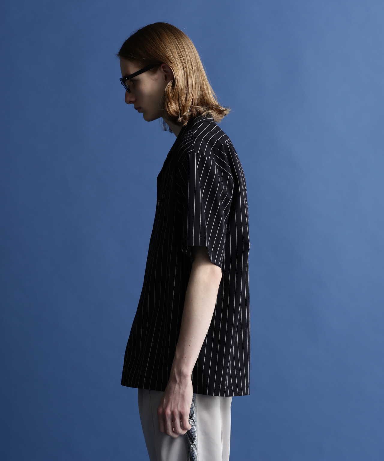 STRIPE S/S WORK SHIRT/ストライプワークシャツ | Schott ( ショット