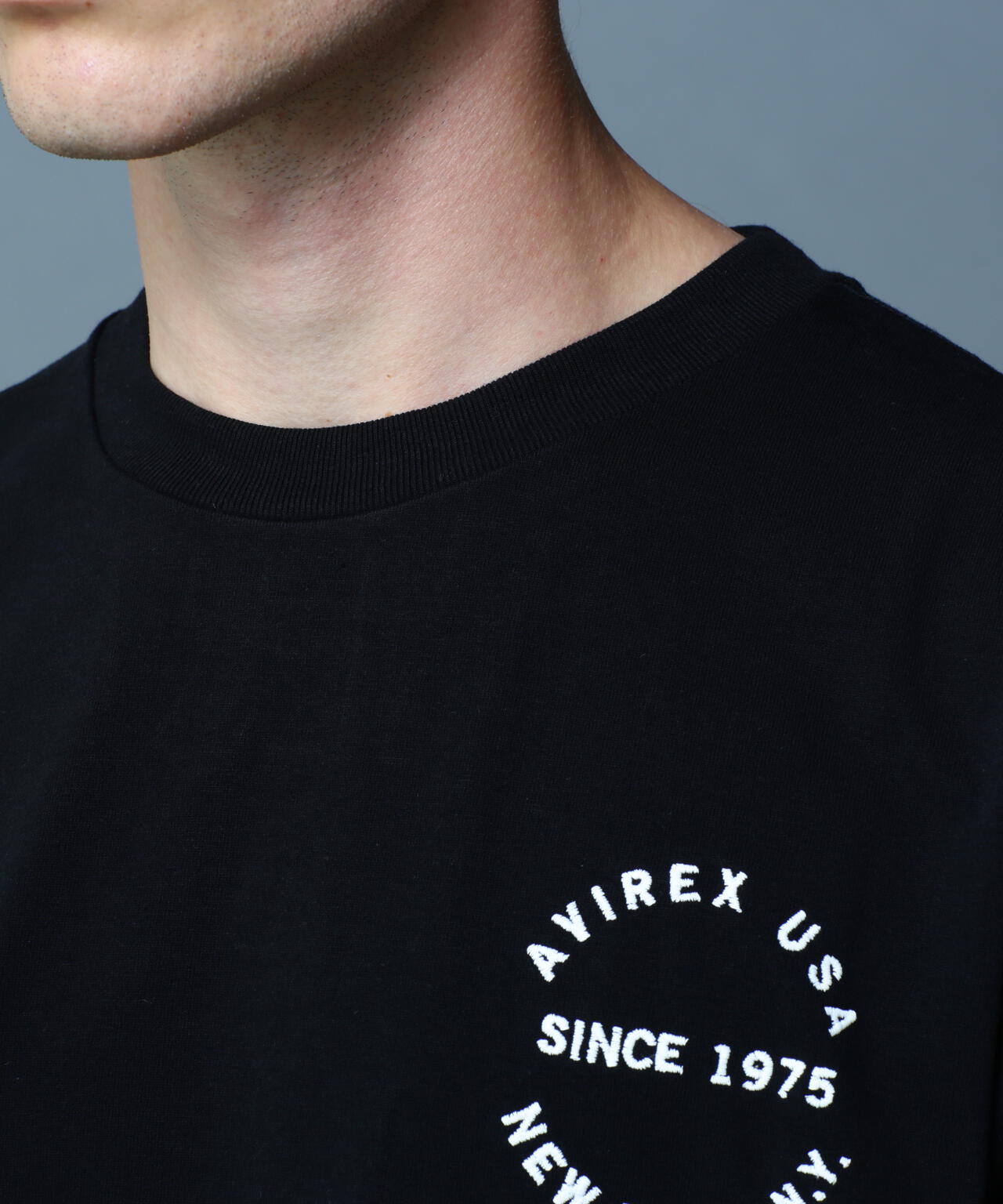 ヴァーシティー ロゴ Tシャツ2.0/VARSITY LOGO T-SHIRT 2.0 | AVIREX 