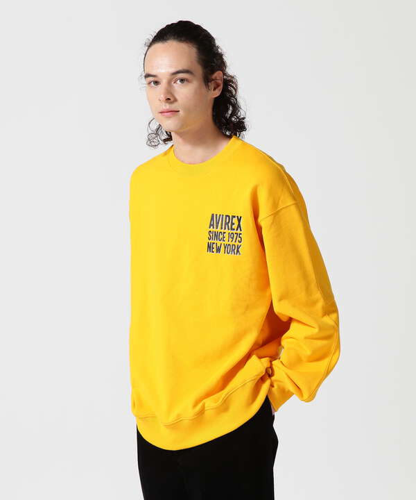 BIG LOGO CREW NECK SWEAT / ビッグロゴ クルーネック スウェット