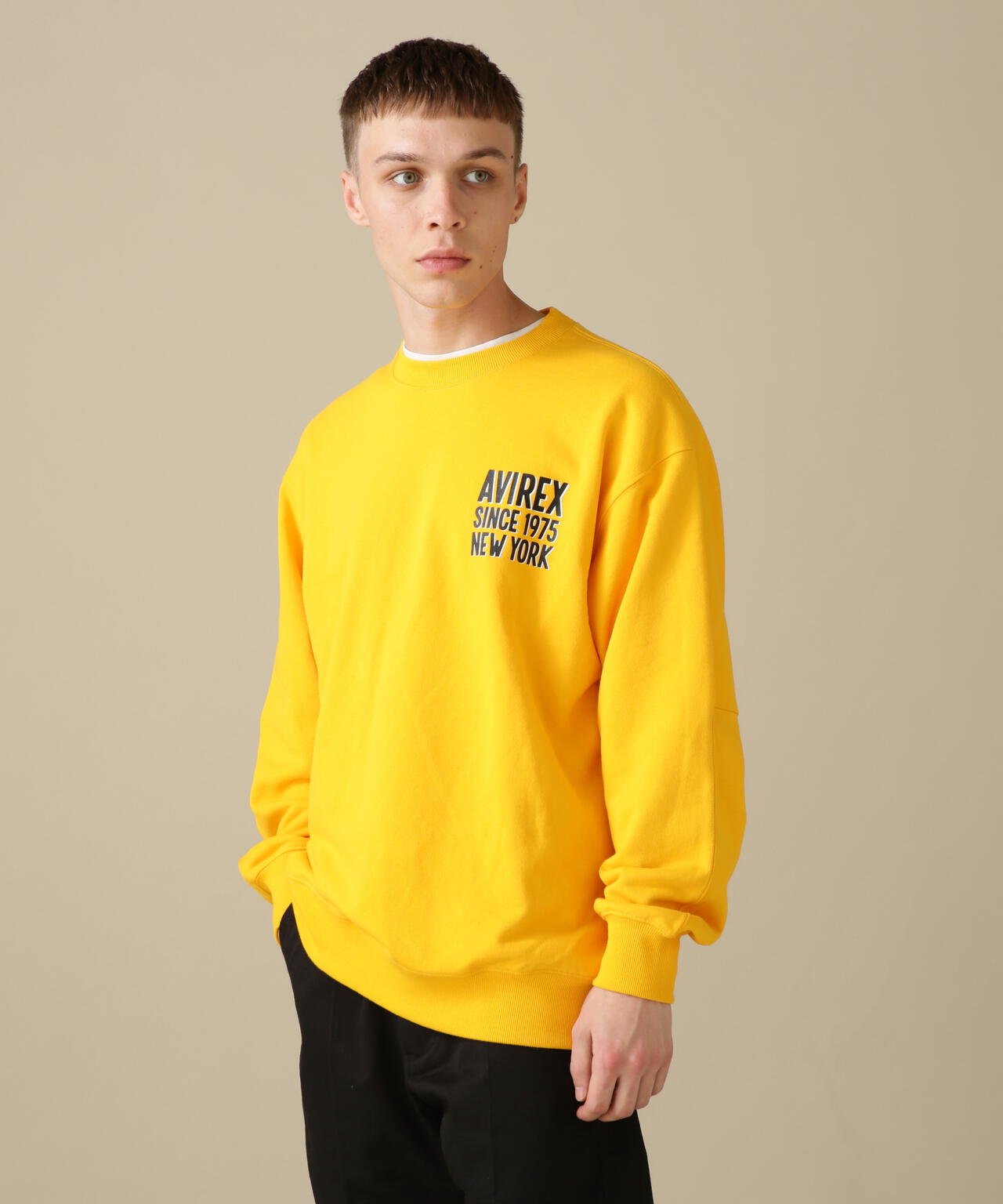 BIG LOGO CREW NECK SWEAT / ビッグロゴ クルーネック スウェット