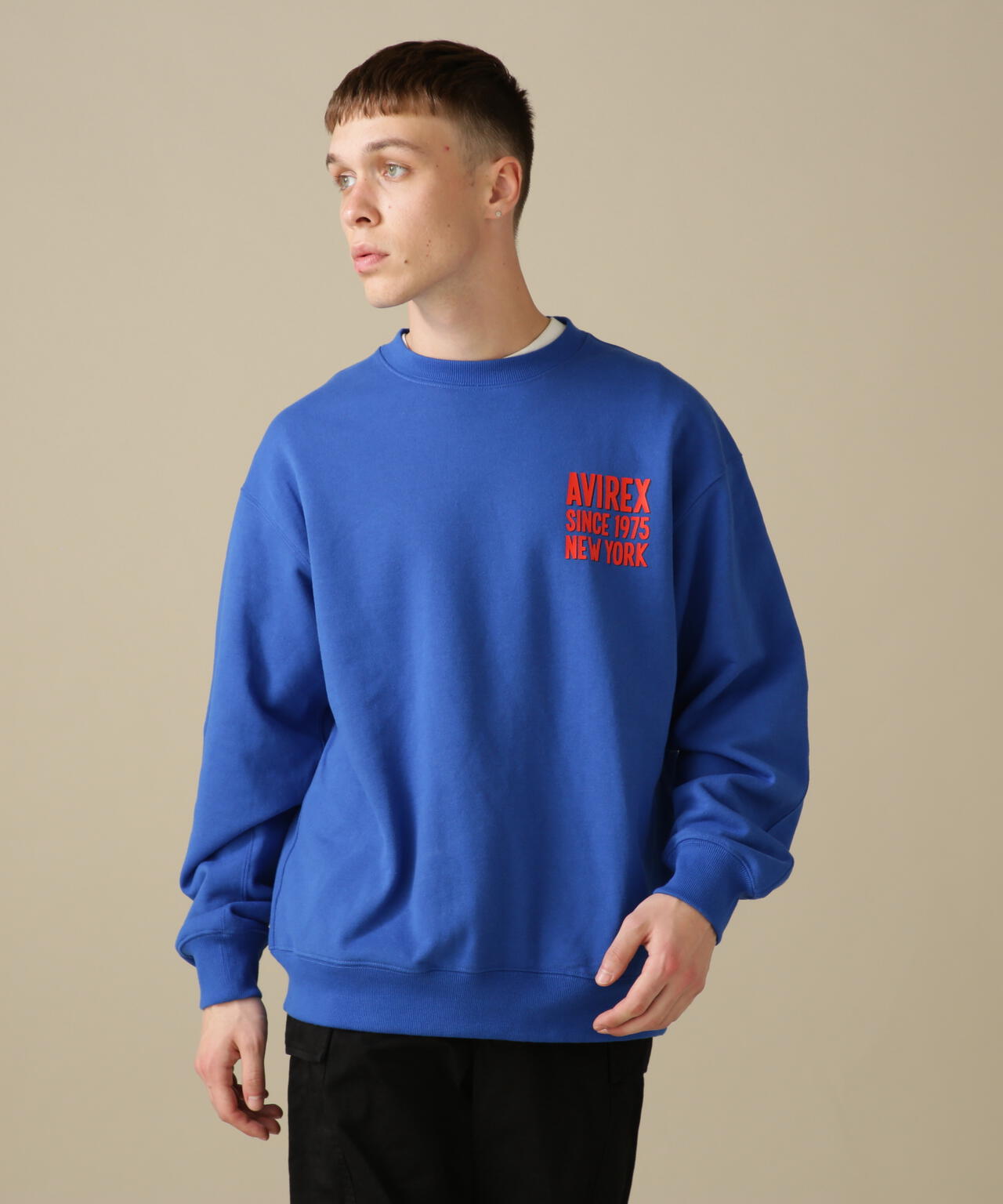 BIG LOGO CREW NECK SWEAT / ビッグロゴ クルーネック スウェット