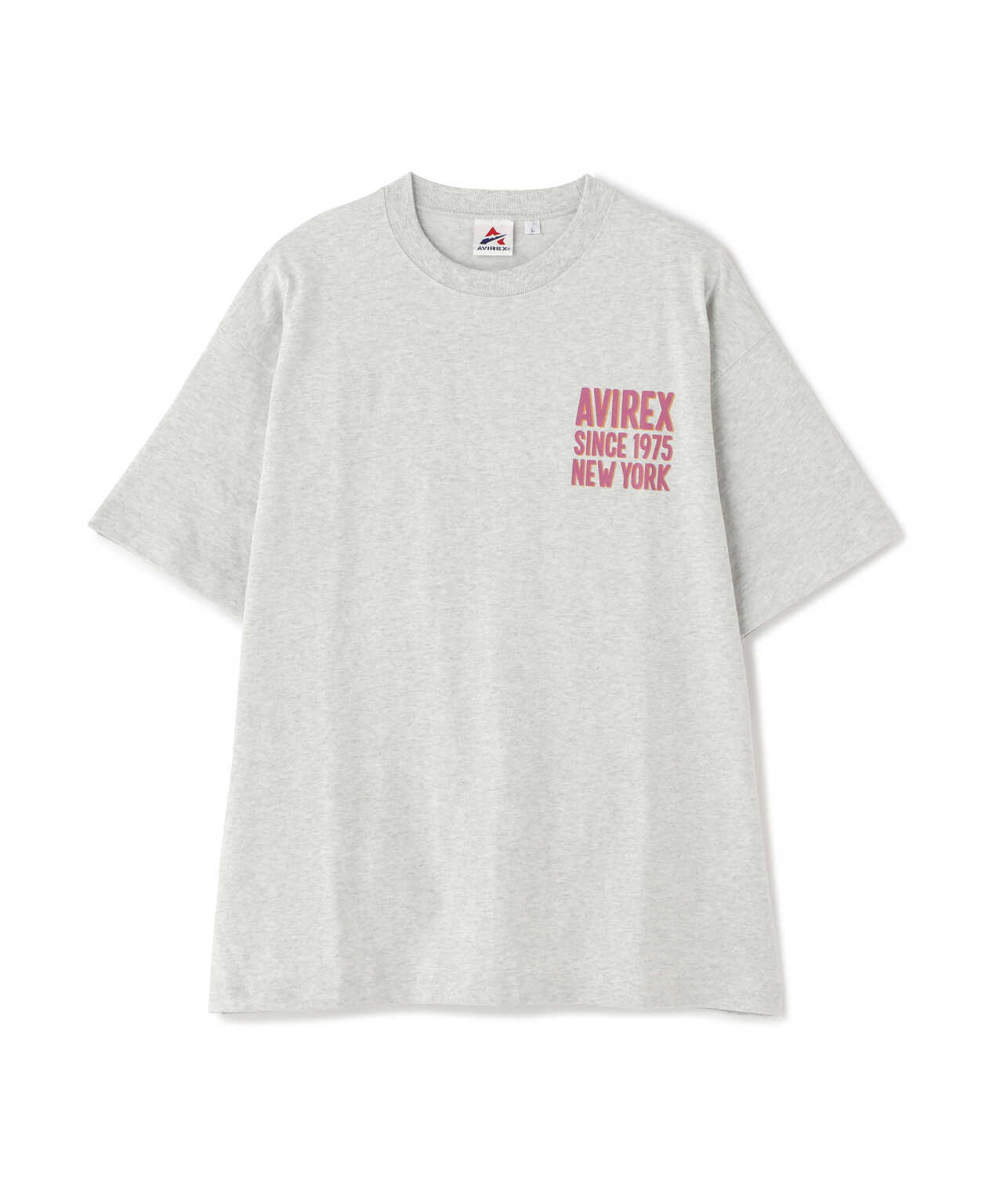 BIG LOGO CREW NECK T-SHIRT / ビッグロゴ クルーネック Tシャツ