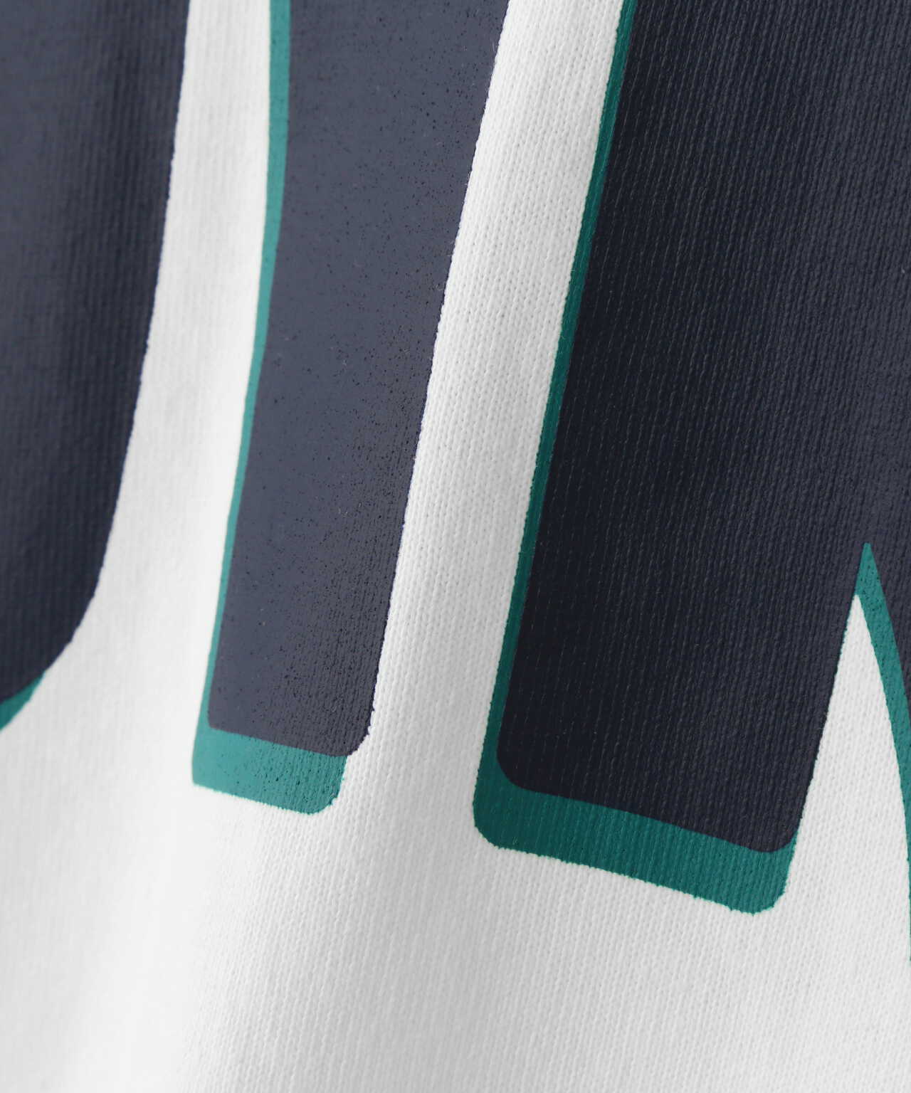BIG LOGO CREW NECK T-SHIRT / ビッグロゴ クルーネック Tシャツ