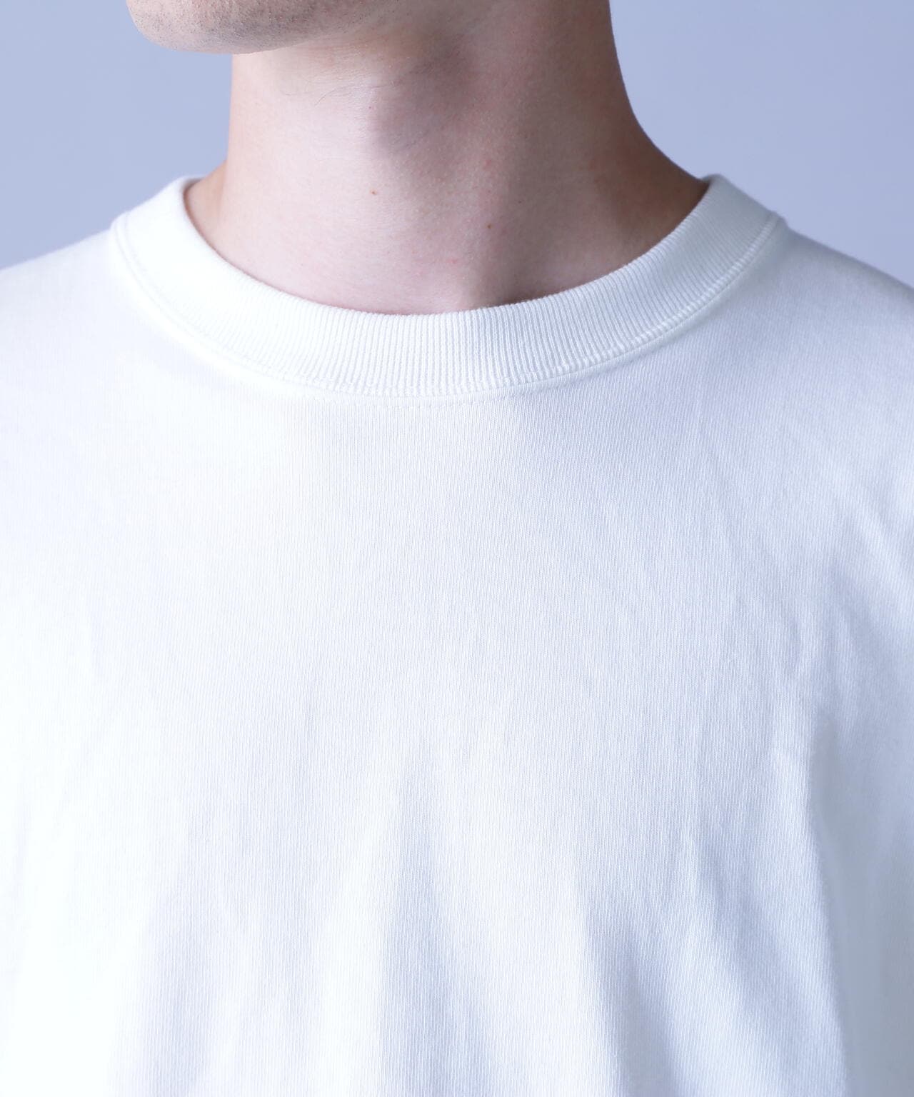 BASIC HEAVY WEIGHT L/S T-SHIRT / ベーシック ヘビーウェイト 長袖 Tシャツ / AVIREX /