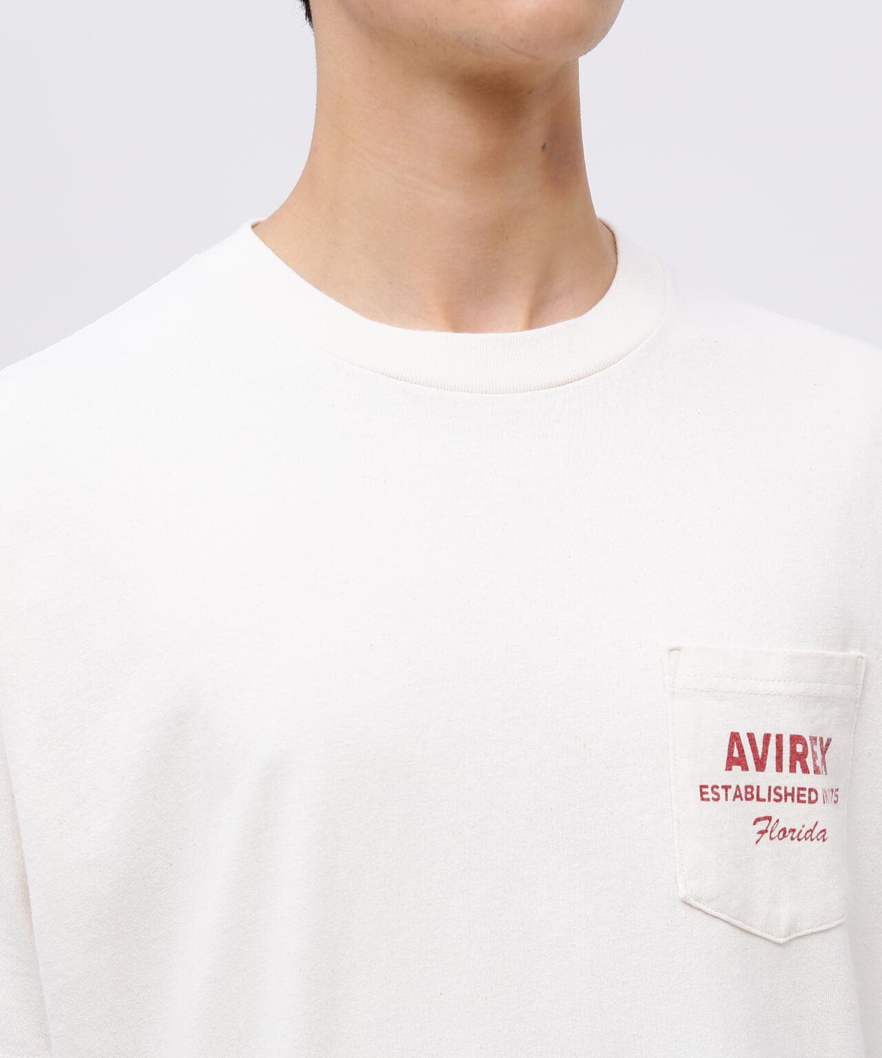 NORSE ART T-SHIRT FRAMINGO / ノーズアート Tシャツ フラミンゴ / AVIREX / アヴィレックス