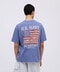 NORSE ART T-SHIRT US FLAG / ノーズアート Tシャツ US フラッグ / AVIREX / アヴィレックス