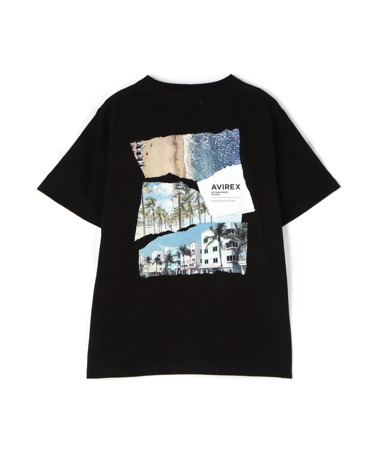 直営店限定》BACK PHOTO T-SHIRT/バックフォトTシャツ | AVIREX 