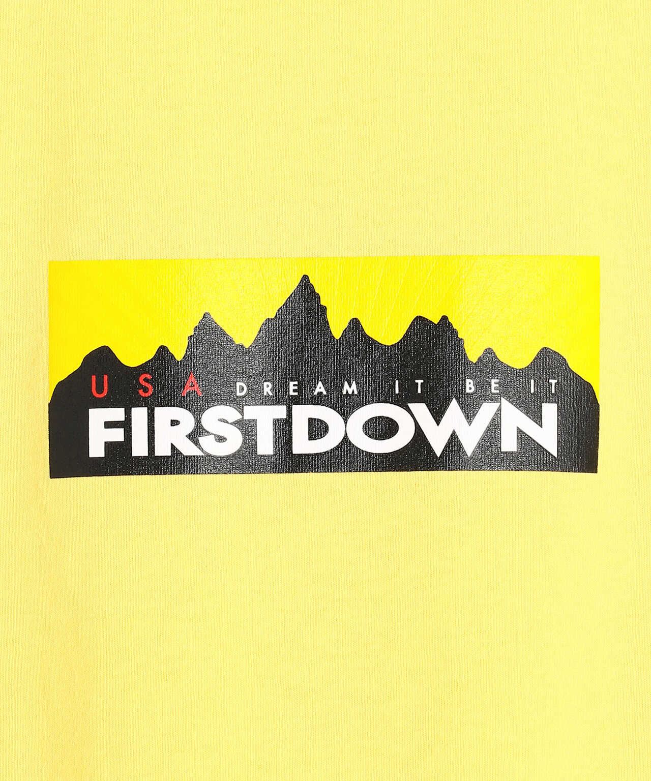 FIRSTDOWN/ファーストダウン/ボックスロゴTシャツ/BOX Logo Tee/F901503C