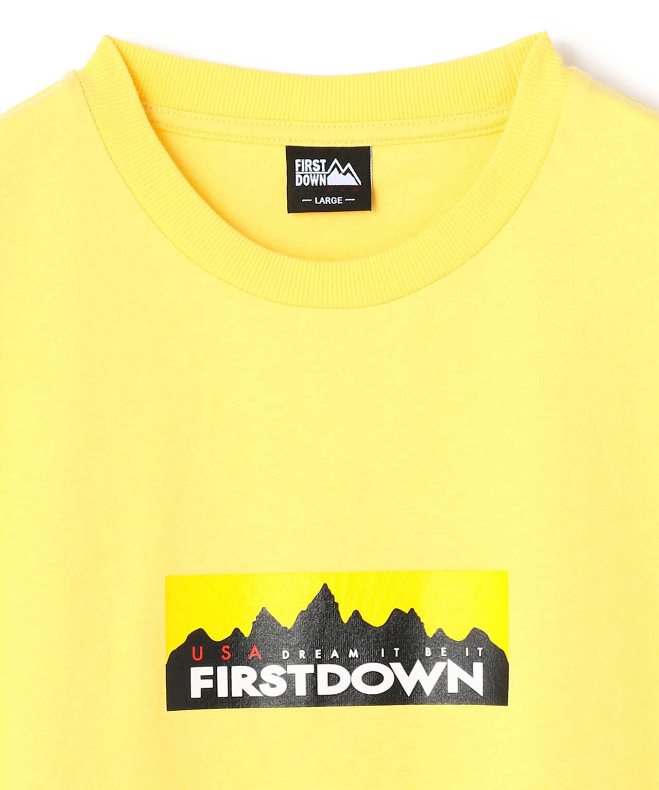 FIRSTDOWN/ファーストダウン/ボックスロゴTシャツ/BOX Logo Tee/F901503C