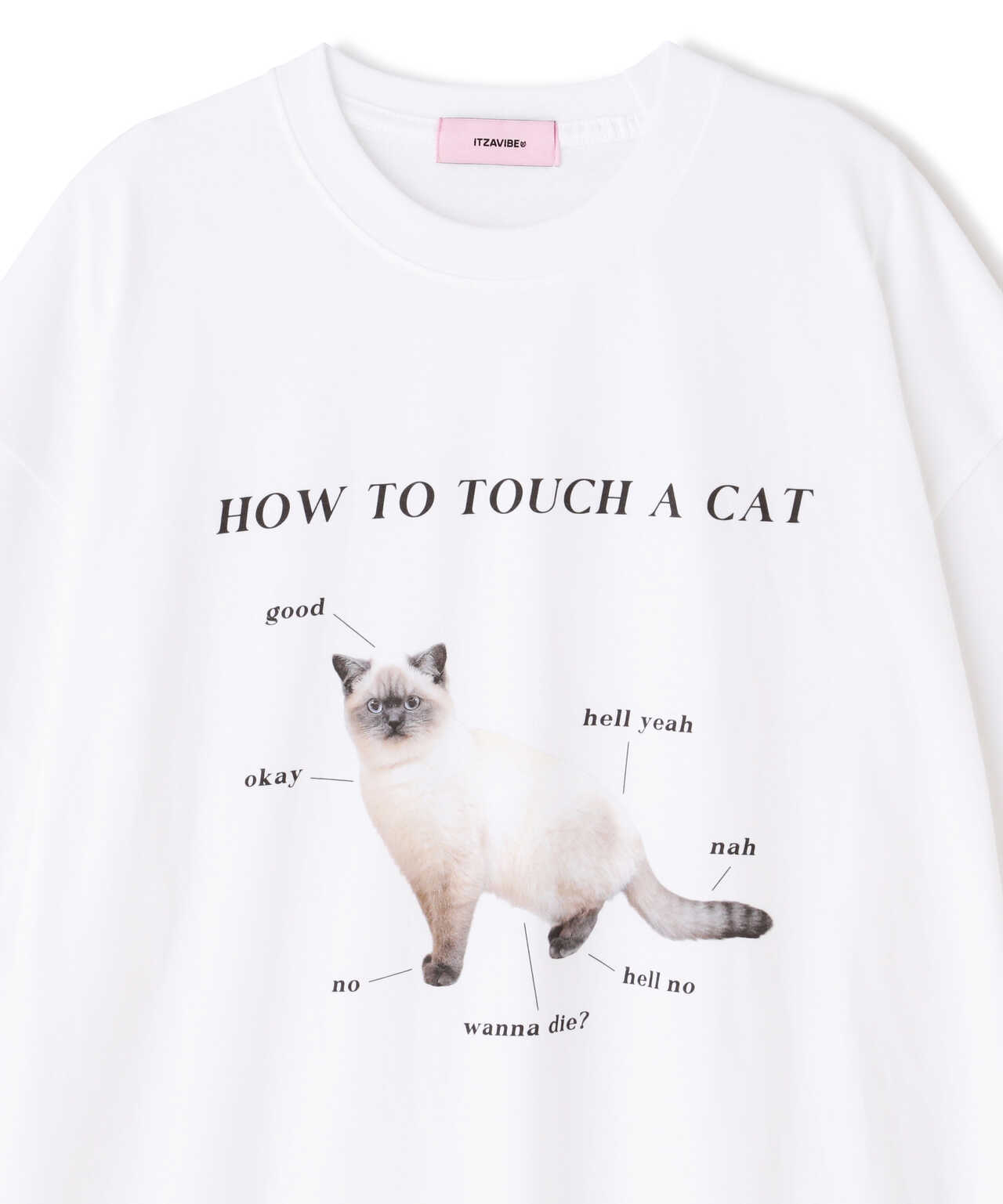 ITZAVIBE/イッザバイブ/Cat Guide T-Shirts/グラフィックTシャツ