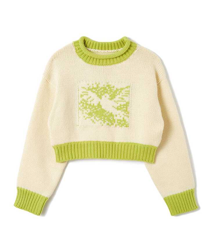 soduk/スドーク　new V knit tops