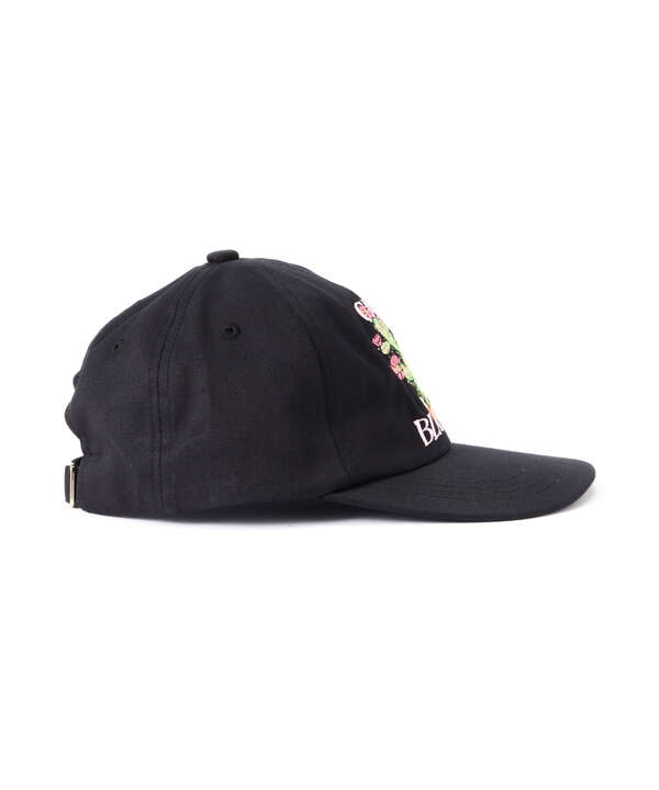 ＣＡＣＴＵＳ　ＥＴ　ＥＭＢＲＯＩＤＥＲＥＤ　ＣＡＰ