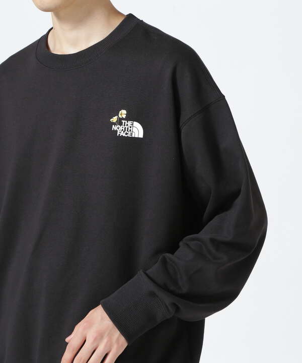 THE NORTH FACE ノースフェイス ハーフジップセーター 刺繍  アウトドア ラグラン ワンポイントロゴ ブラウン (メンズ M)   O2731