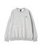 THE NORTH FACE/ザ・ノースフェイス/Small Logo Heather Sweat Crew/スウェットシャツ